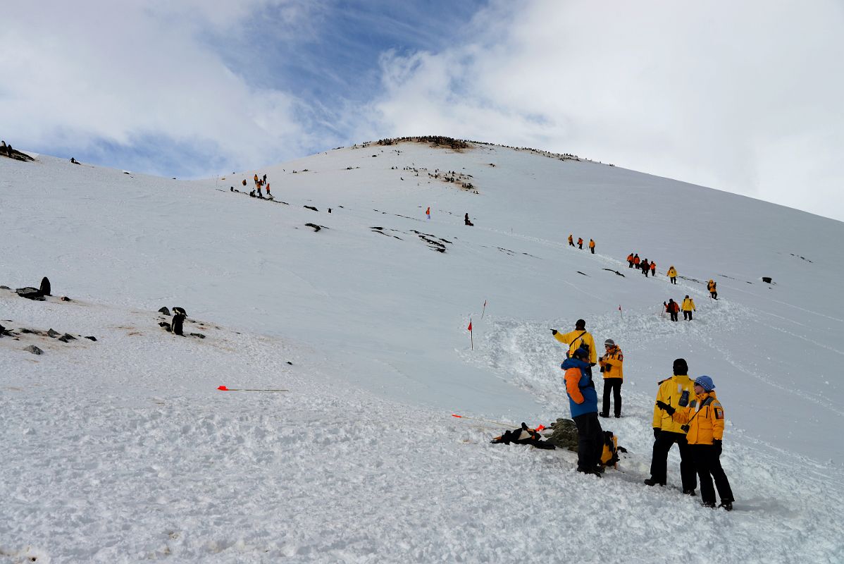 10C Tourists Climbing To The Top Of Danco Island On Quark Expeditions Antarctica Cruise